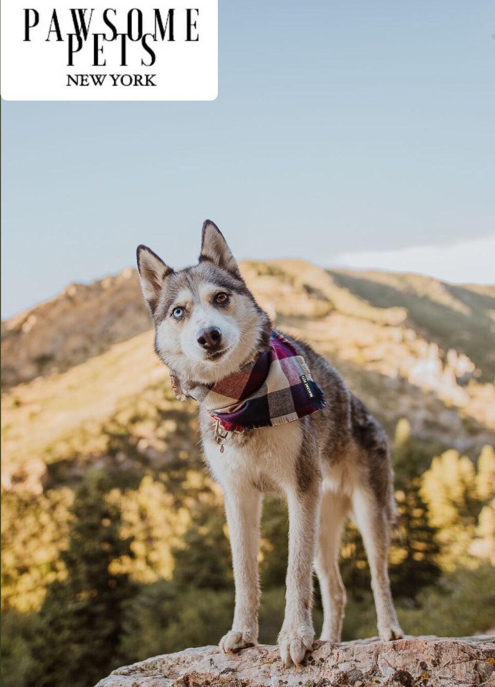 BANDANA - ALPINE PAWSOME PETS