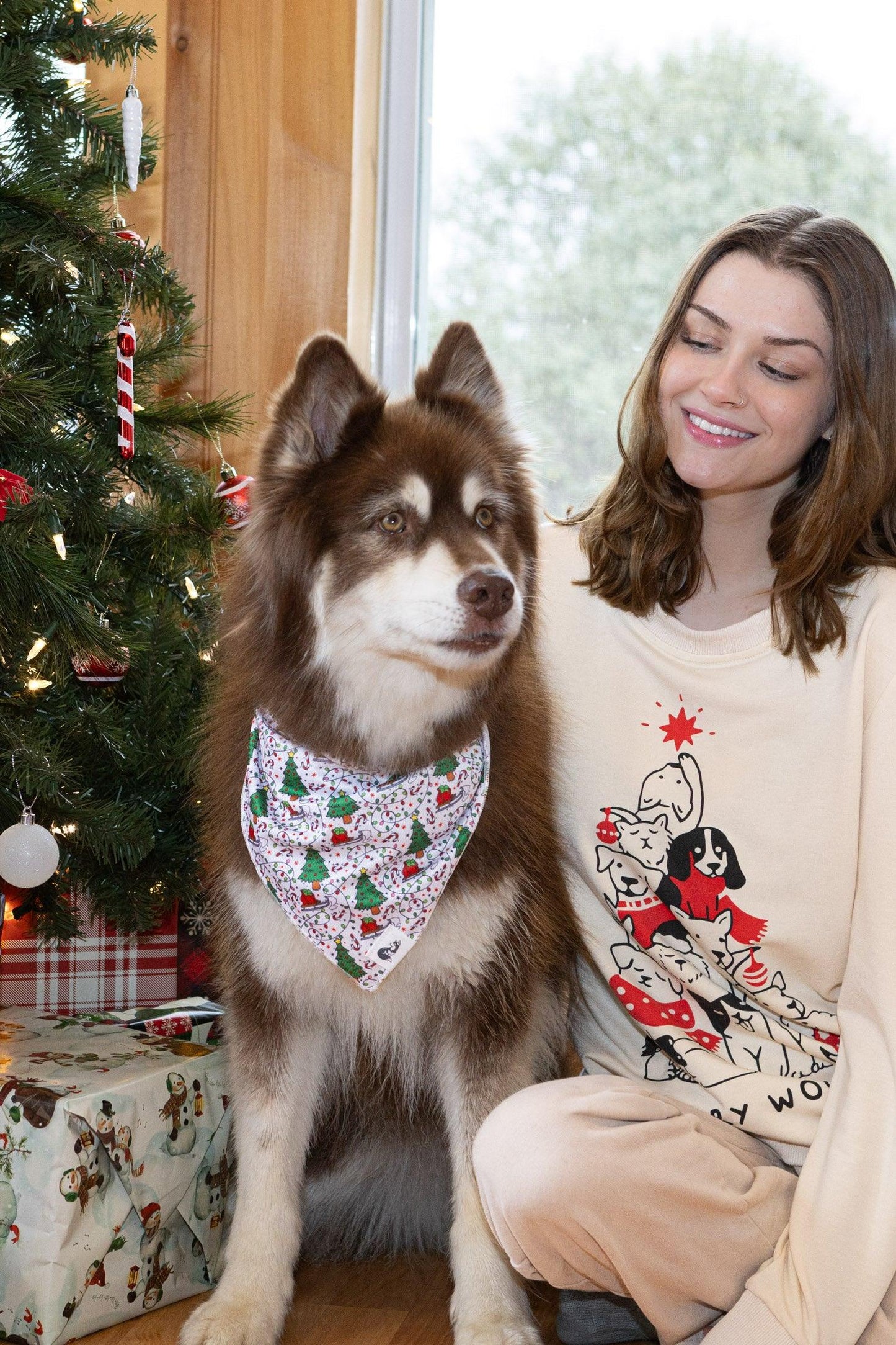 Howliday Cheer Dog Bandana Aria the Fox