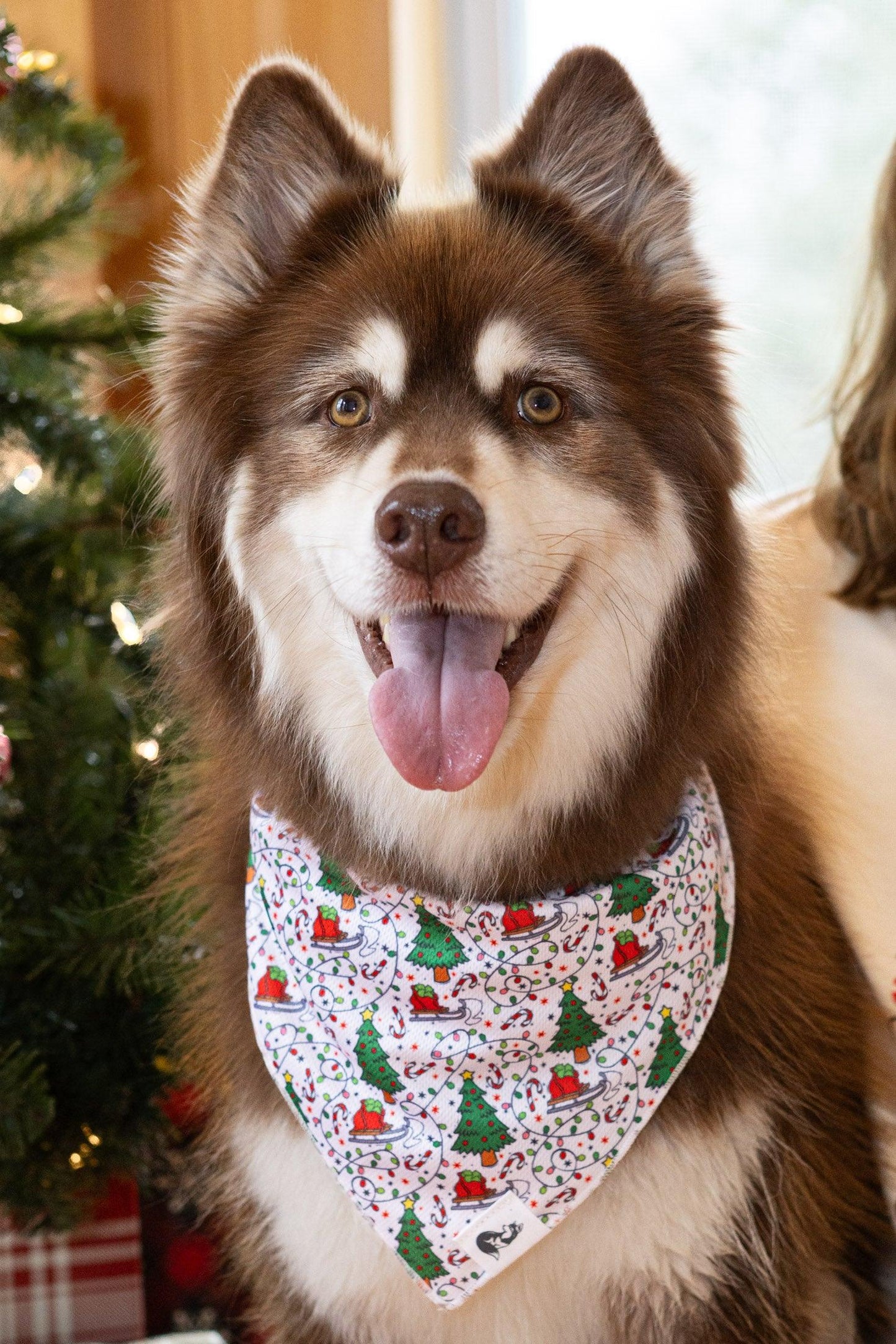 Howliday Cheer Dog Bandana Aria the Fox