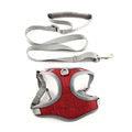 Vibrant Vest-Style Pet Leash For Cats And Dogs Dog Hugs Cat