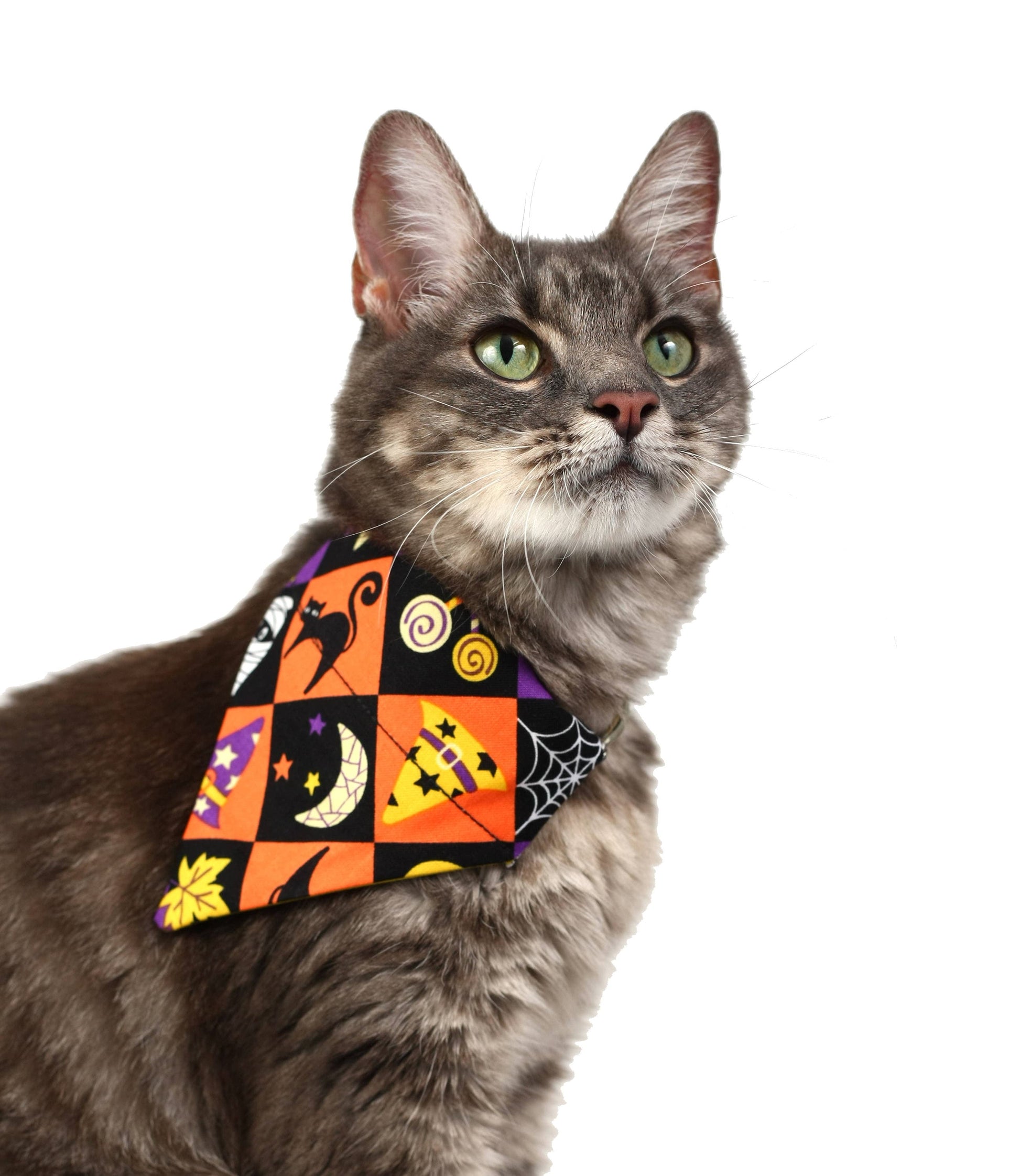 Spooky Squares Pet Scarf Pugs2Persians
